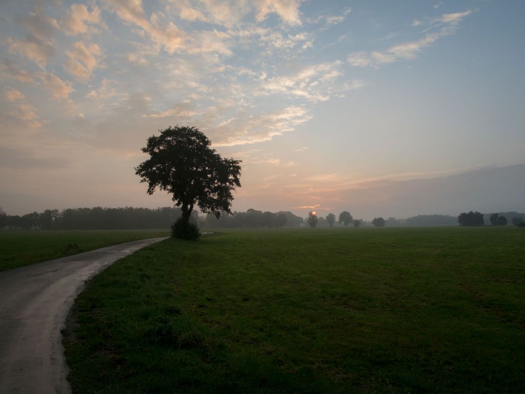 Ströher Feuchtwiesen, Foto: Christof Schmitz