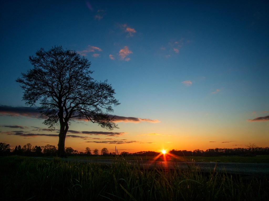 Ströher Feuchtwiesen, Foto: Christof Schmitz