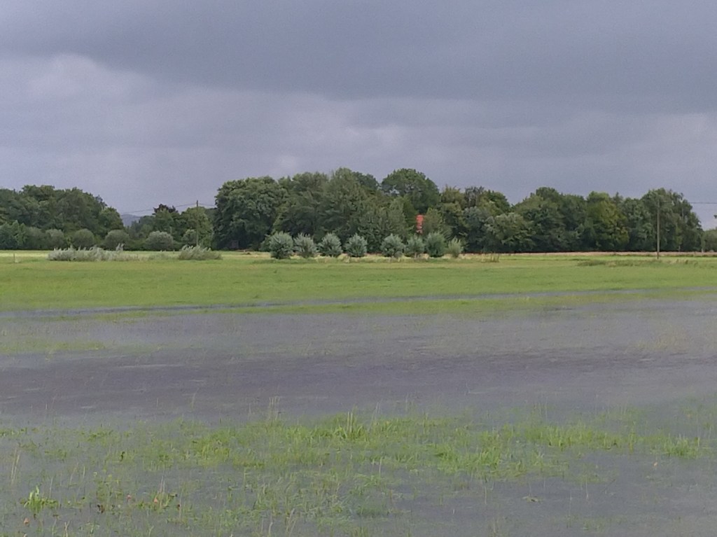 NABU kritisiert Landschaftszerstörung im Naturraum Hollen-Holtkamp-Ströhen durch&nbsp;Amprion