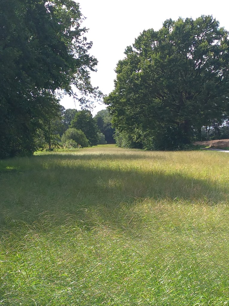 Am Lichtebach in Holtkamp, Foto: Kathrin Weber